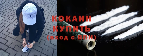 стаф Кулебаки