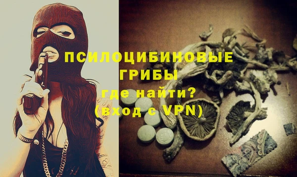 spice Кукмор