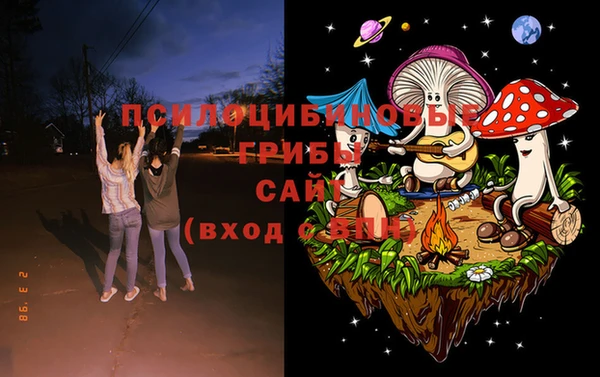 стаф Кулебаки