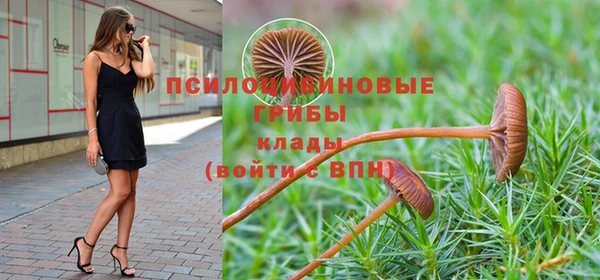 амфетамин Ладушкин