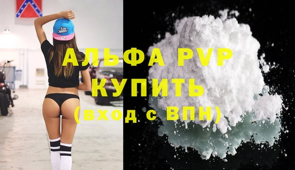 стаф Кулебаки